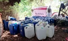 Autoridades incautan miles de litros y kilos de sustancias químicas en Nayarit