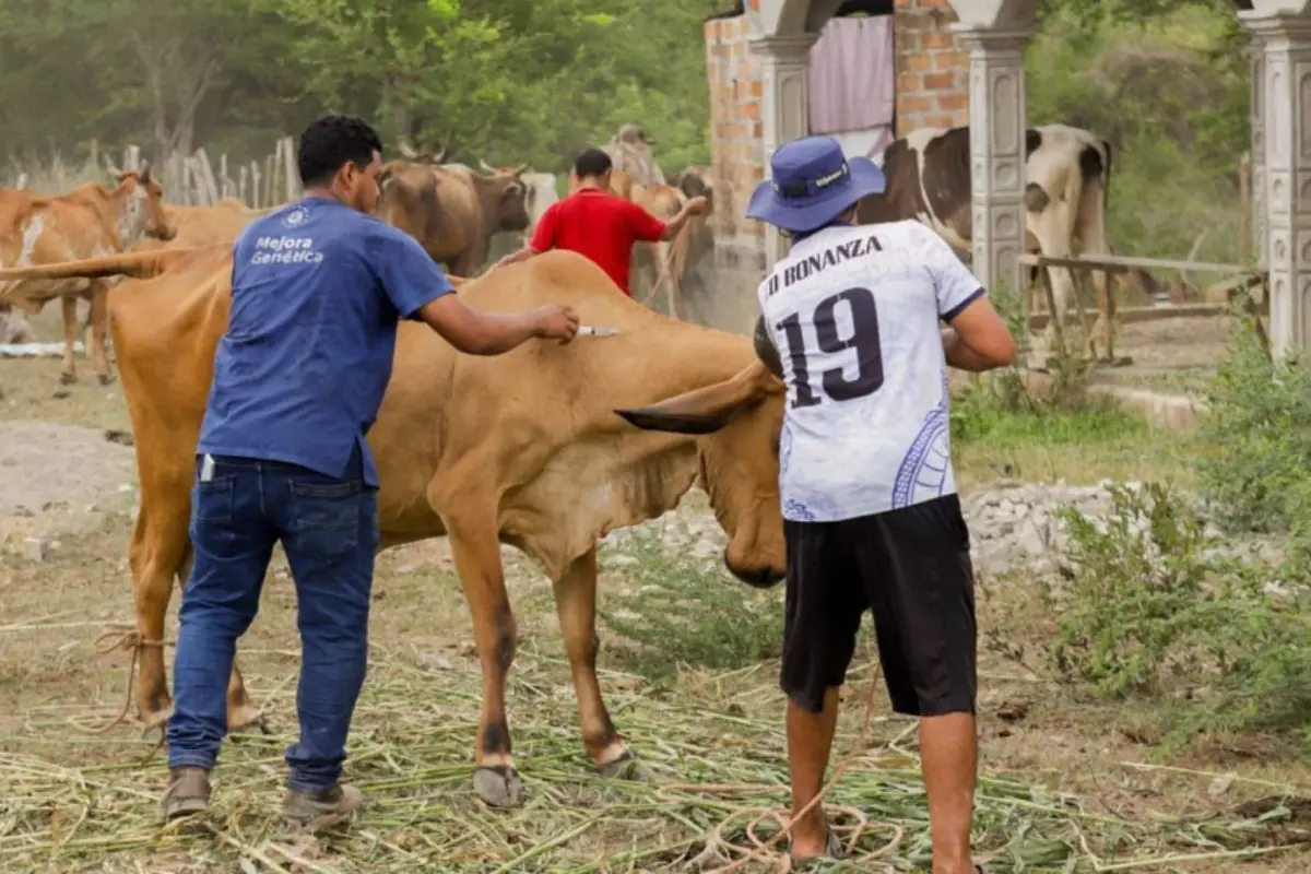 En este contexto, las acciones coordinadas y la tecnología biológica son clave para evitar daños aún mayores en la economía local y nacional. Foto: UGRT