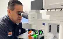 Desarrolla la UAT nuevos fármacos para el tratamiento de niños con cáncer