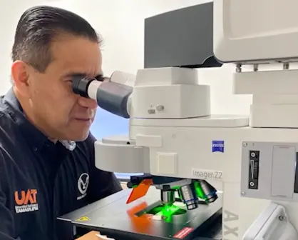 Desarrolla la UAT nuevos fármacos para el tratamiento de niños con cáncer
