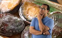 Conapesca anuncia veda de abulón en Baja California Sur Conapesca anuncia veda de abulón en Baja California Sur