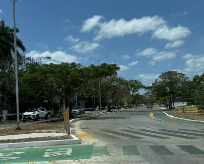 Presentan nueva asociación para proteger el arbolado urbano en Mérida