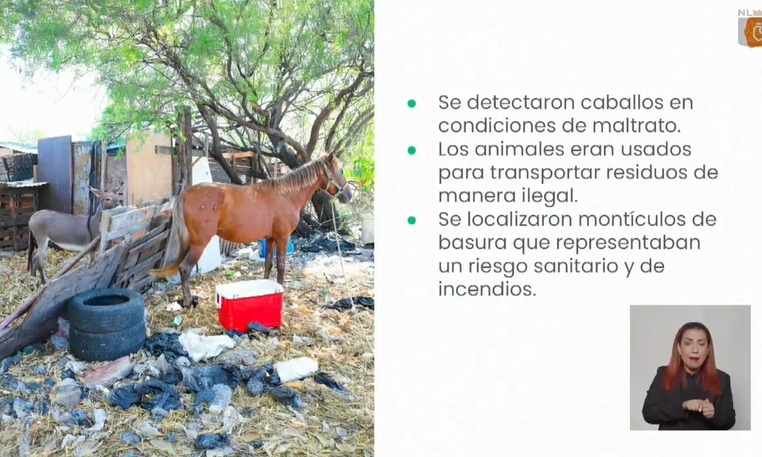 Lozano Caballero indicó que el megaoperativo que se llevó a cabo el jueves 8 de agosto. Lozano Caballero indicó que el megaoperativo que se llevó a cabo el jueves 8 de agosto.