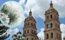 ¿Cuántos frentes fríos espera Durango en la temporada 2025 - 2026, según Conagua?