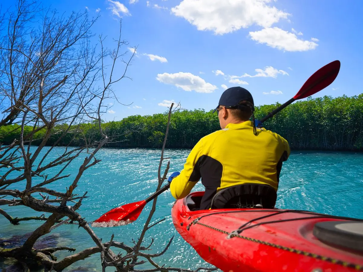 La laguna Nichupté es uno de los puntos más visitados de Cancún por su belleza y la experiencia de recorrer sus canales en kayak.- Fuente Canva