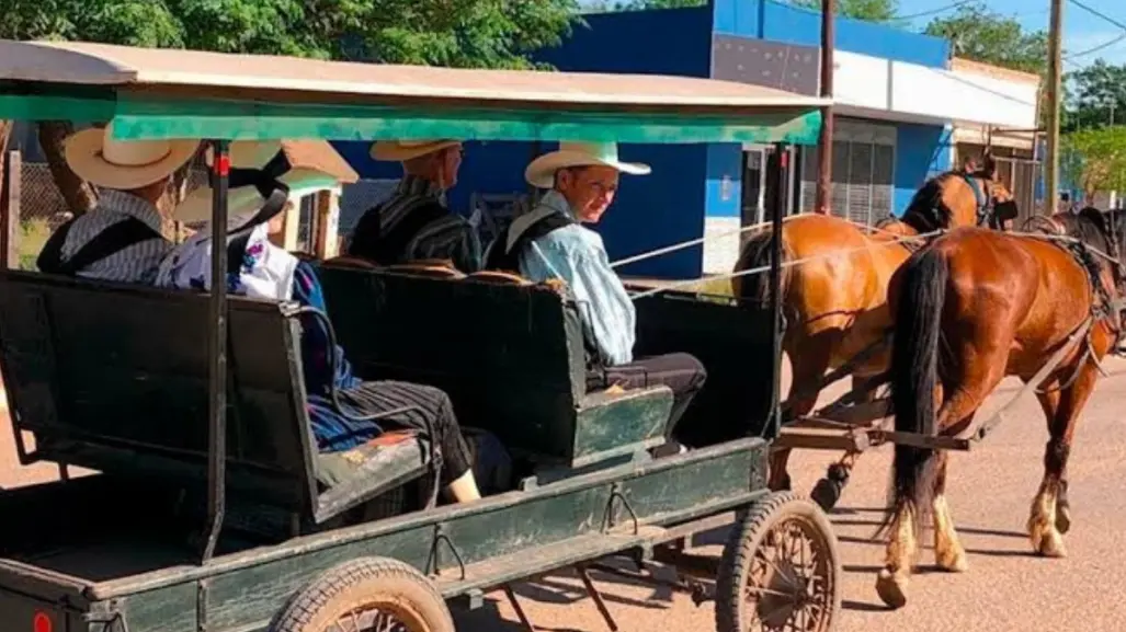 Los menonitas en Tamaulipas: tradiciones que florecen en San Carlos y más allá