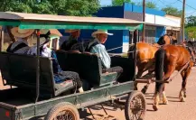 Los menonitas en Tamaulipas: tradiciones que florecen en San Carlos y más allá