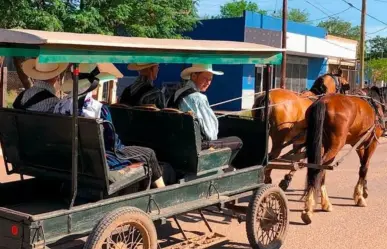 Los menonitas en Tamaulipas: tradiciones que florecen en San Carlos y más allá