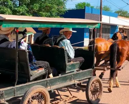 Los menonitas en Tamaulipas: tradiciones que florecen en San Carlos y más allá