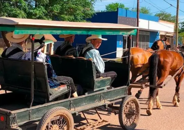Los menonitas en Tamaulipas: tradiciones que florecen en San Carlos y más allá