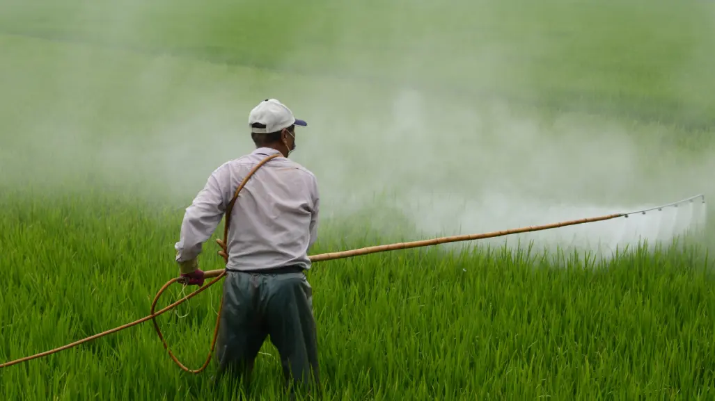 Gobierno de México prohíbe 35 plaguicidas en campos por daños a la salud