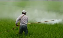 Gobierno de México prohíbe 35 plaguicidas en campos por daños a la salud