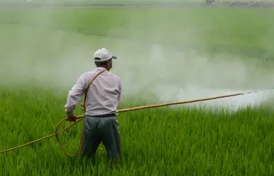 Gobierno de México prohíbe 35 plaguicidas en campos por daños a la salud