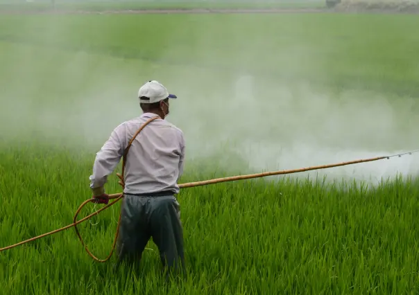 Gobierno de México prohíbe 35 plaguicidas en campos por daños a la salud