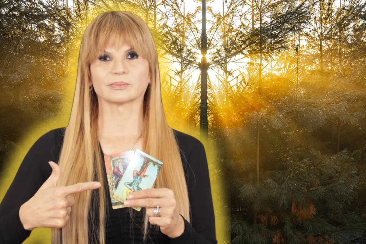 Mhoni Vidente ilumina tu camino este sábado para tomar decisiones con claridad y confianza ante nuevas oportunidades. Foto: Canva