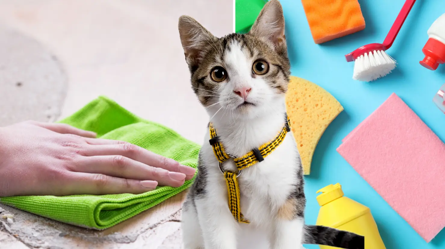 ¡No es vinagre! Con esto puedes limpiar el piso para eliminar la suciedad de tu gato. Foto: Canva.