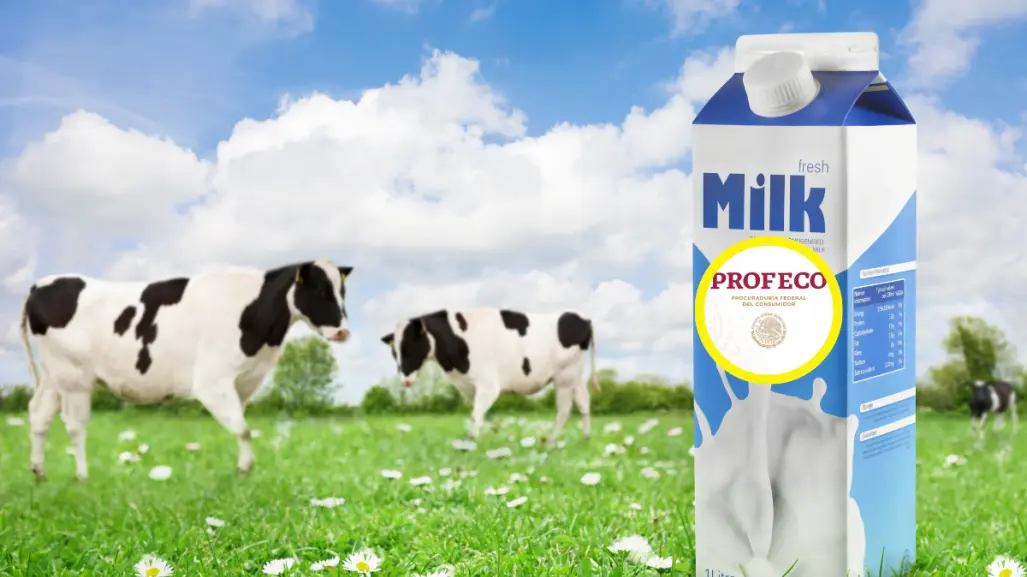 ¿No sabes qué leche comprar? Profeco te recomienda 3 marcas buenas y baratas