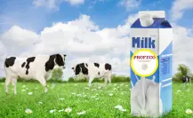 ¿No sabes qué leche comprar? Profeco te recomienda 3 marcas buenas y baratas