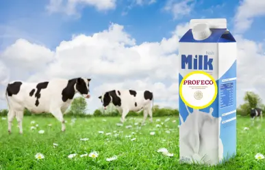 ¿No sabes qué leche comprar? Profeco te recomienda 3 marcas buenas y baratas