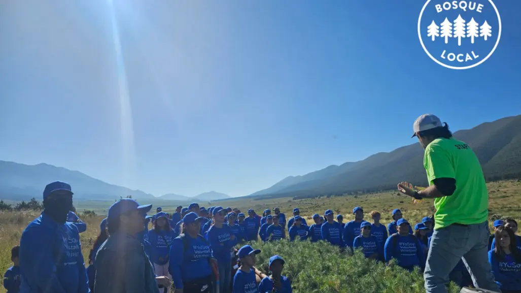 Apoya tu Bosque Local invita a reforestar la Sierra de Arteaga, así puedes participar o donar