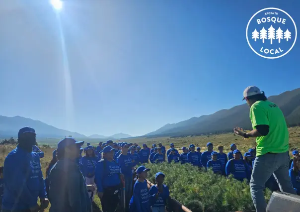 Apoya tu Bosque Local invita a reforestar la Sierra de Arteaga, así puedes participar o donar