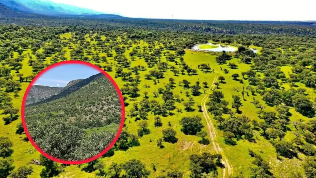 El increíble rancho de 796 hectáreas que venden en Durango por Marketplace