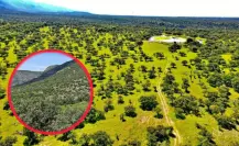 El increíble rancho de 796 hectáreas que venden en Durango por Marketplace