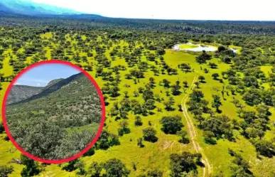 El increíble rancho de 796 hectáreas que venden en Durango por Marketplace
