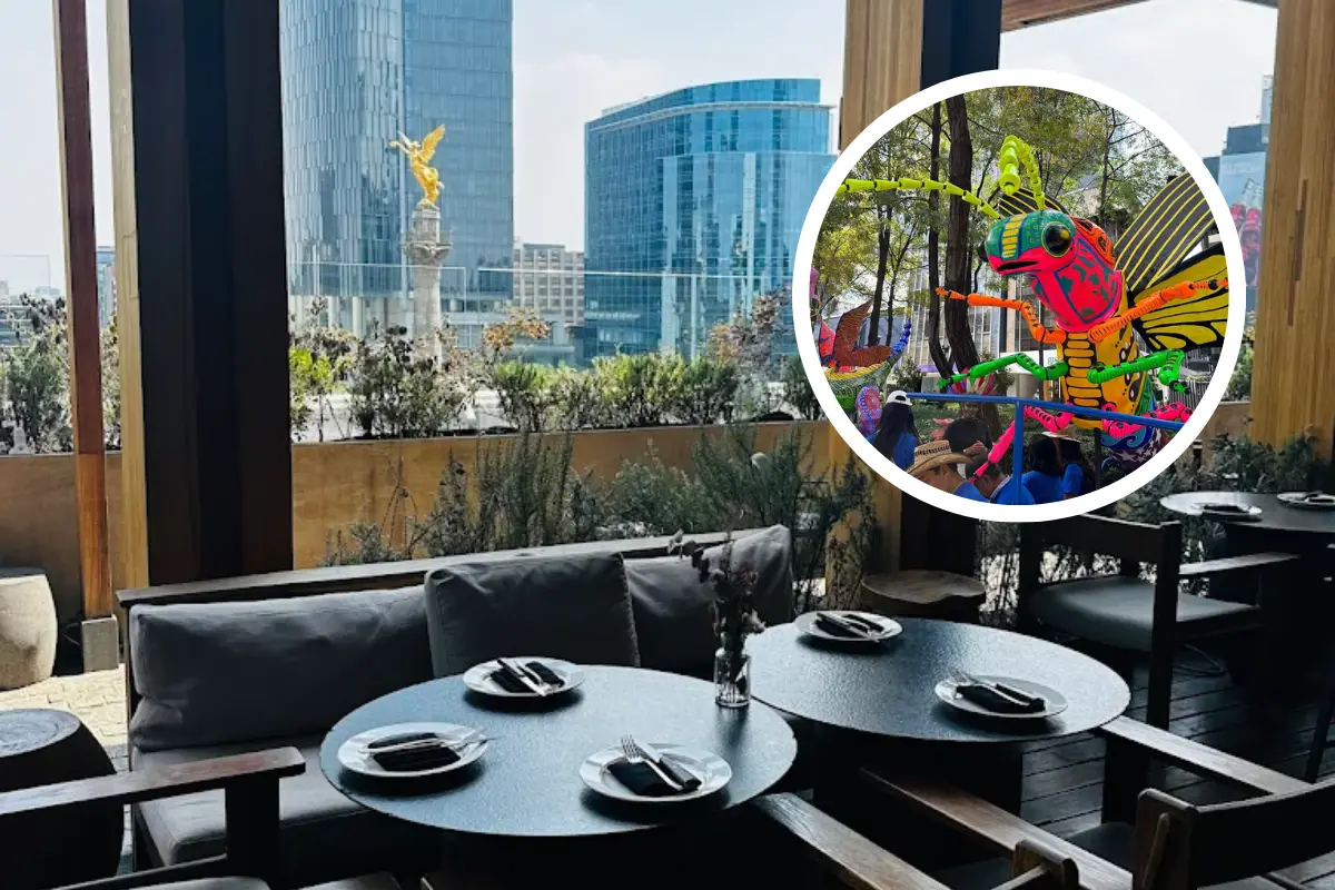 De fondo terraza en Reforma, alebrije. Foto: Maps Viviana García | X @webcamsdemexico