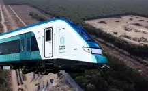 Semarnat autoriza terminal de carga del Tren Maya que afectará 259 hectáreas de selva