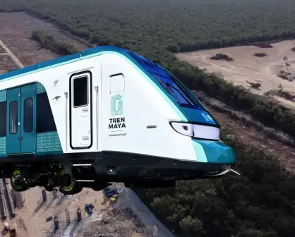 Semarnat autoriza terminal de carga del Tren Maya que afectará 259 hectáreas de selva