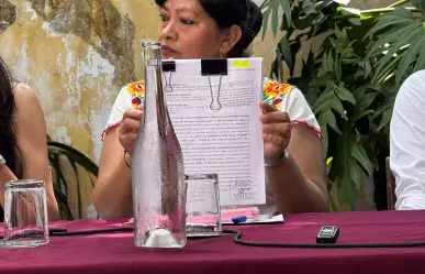 Comunidades mayas se unen y presentan denuncia popular contra granjas porcícolas en Yucatán