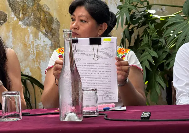 Comunidades mayas se unen y presentan denuncia popular contra granjas porcícolas en Yucatán
