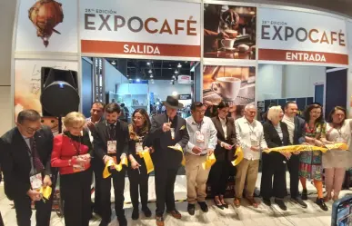 Industria del café a la alza en México; cafetaleros señalan balanza positiva