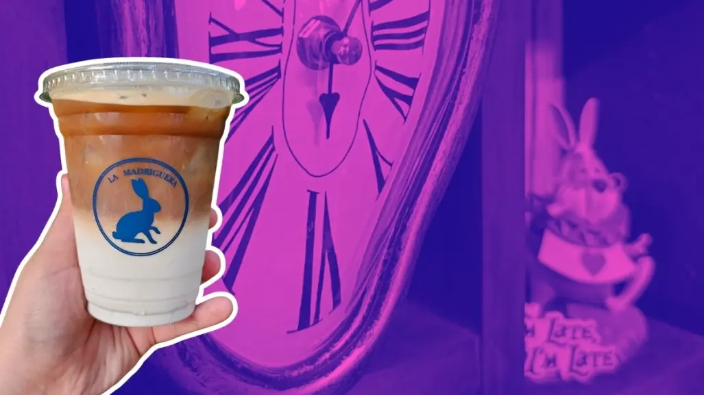 Cafeterías cool en Nuevo León: Sigue al conejo blanco y disfruta un café único en La Madriguera