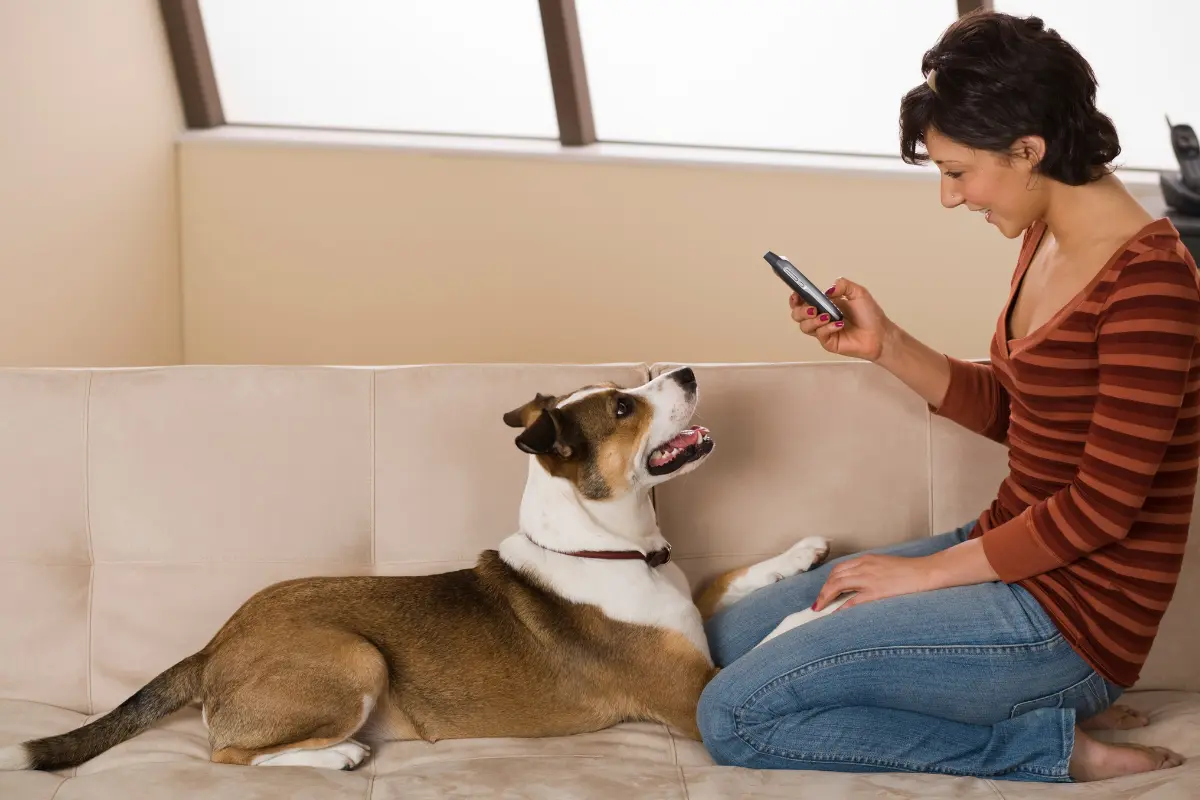 Hacer fotografías impresionantes de tus mascotas ya no es complicado; descubre cómo resaltar su personalidad con unos sencillos consejos. Foto: Canva