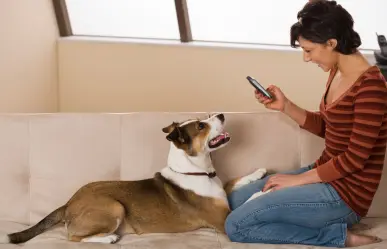 Captura los mejores momentos de tus perros y gatos con estos 7 tips de fotografía