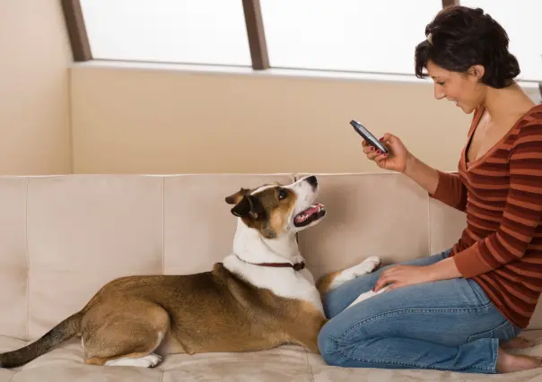 Captura los mejores momentos de tus perros y gatos con estos 7 tips de fotografía