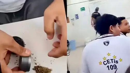 VIDEO | Jóvenes muelen hierba en clases de este CETis de Ciudad Madero