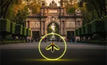 Descubren en Chapultepec una rara especie de luciérnaga y plantas no vistas desde 1886 en CDMX Descubren en Chapultepec una rara especie de luciérnaga y plantas no vistas desde 1886 en CDMX