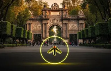 Descubren en Chapultepec una rara especie de luciérnaga y plantas no vistas desde 1886 en CDMX