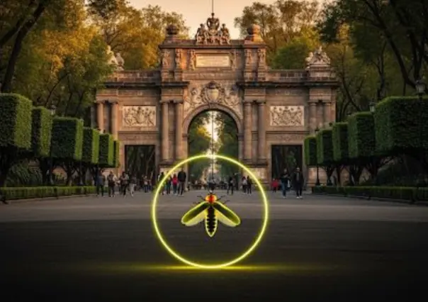 Descubren en Chapultepec una rara especie de luciérnaga y plantas no vistas desde 1886 en CDMX
