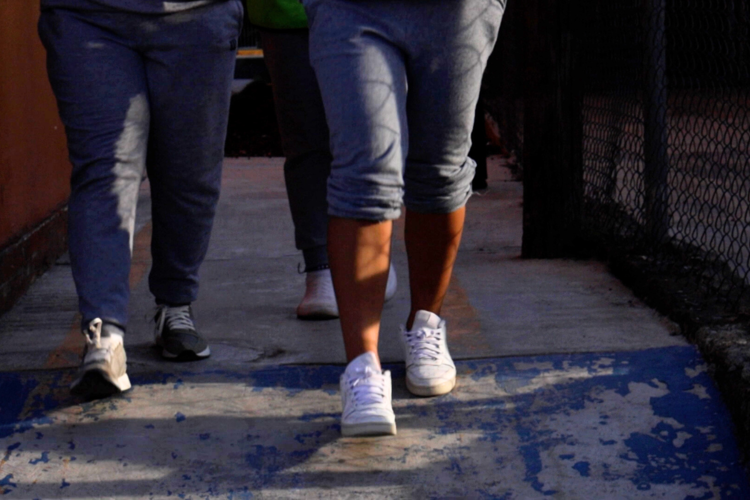 imagen-cuerpo imagen-cuerpo