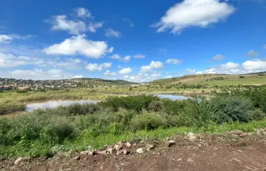 ¿Cuál es el nivel de las presas de Durango este 4 de septiembre de 2025?