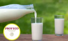 Esta es la leche que tiene más proteína y solo cuesta 35 pesos, según Profeco