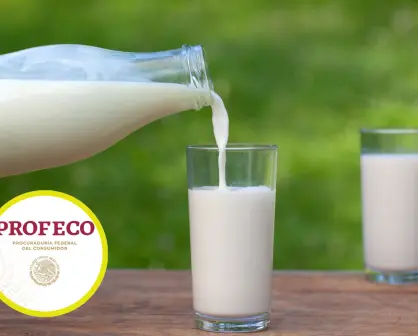 Esta es la leche que tiene más proteína y solo cuesta 35 pesos, según Profeco