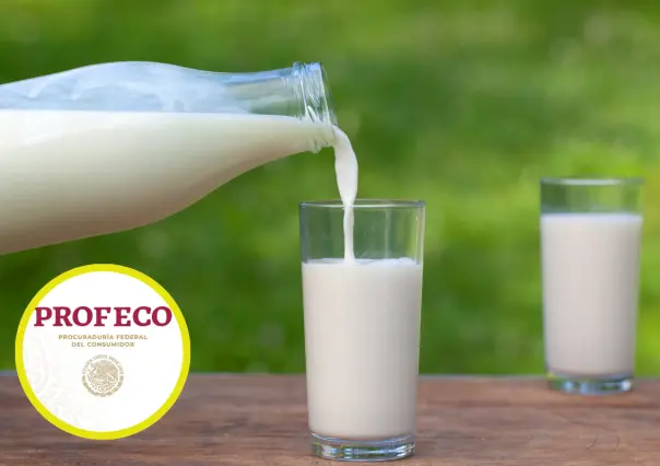 Esta es la leche que tiene más proteína y solo cuesta 35 pesos, según Profeco