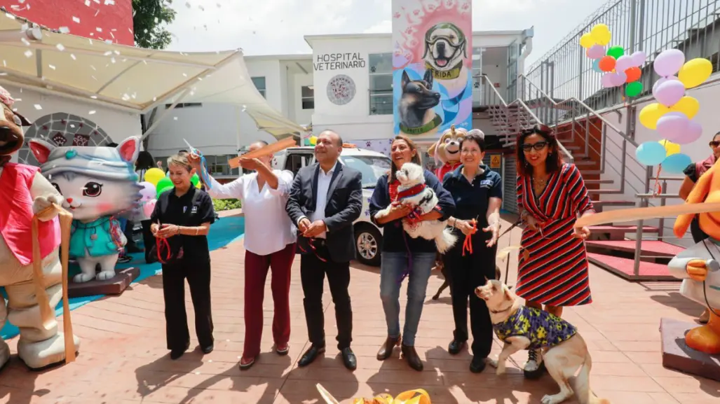 CDMX estrena hospital veterinario con atención 24/7 y servicios económicos, ¿dónde está?