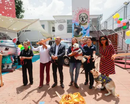CDMX estrena hospital veterinario con atención 24/7 y servicios económicos, ¿dónde está?