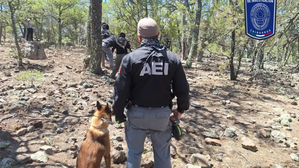 FGE Chihuahua identifica restos de dos desaparecidos en El Willy